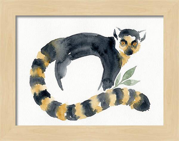Lemur In Watercolor Style