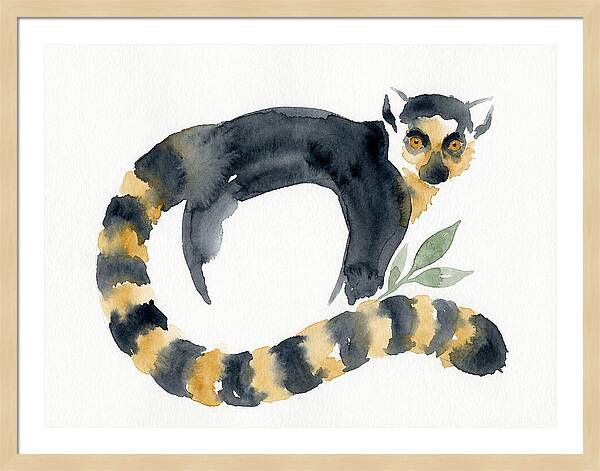 Lemur In Watercolor Style