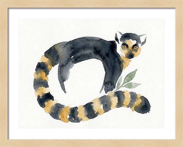 Lemur In Watercolor Style