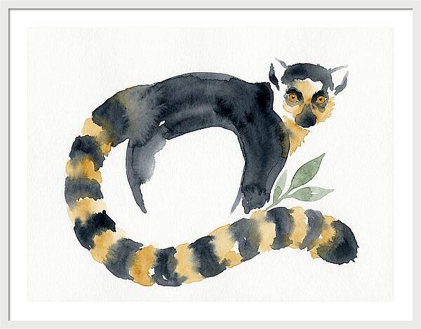 Lemur In Watercolor Style