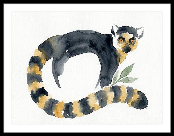Lemur In Watercolor Style