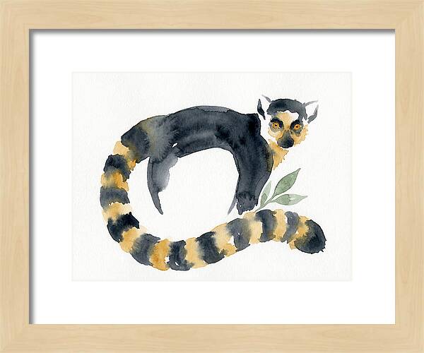 Lemur In Watercolor Style