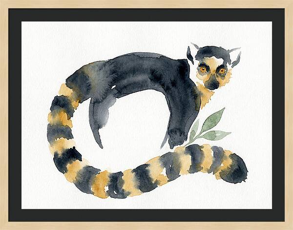 Lemur In Watercolor Style
