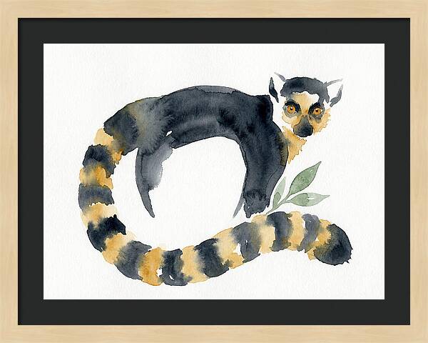 Lemur In Watercolor Style