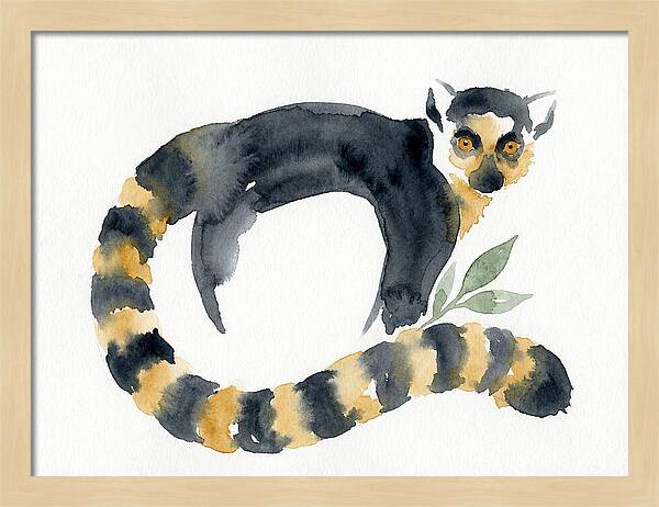 Lemur In Watercolor Style