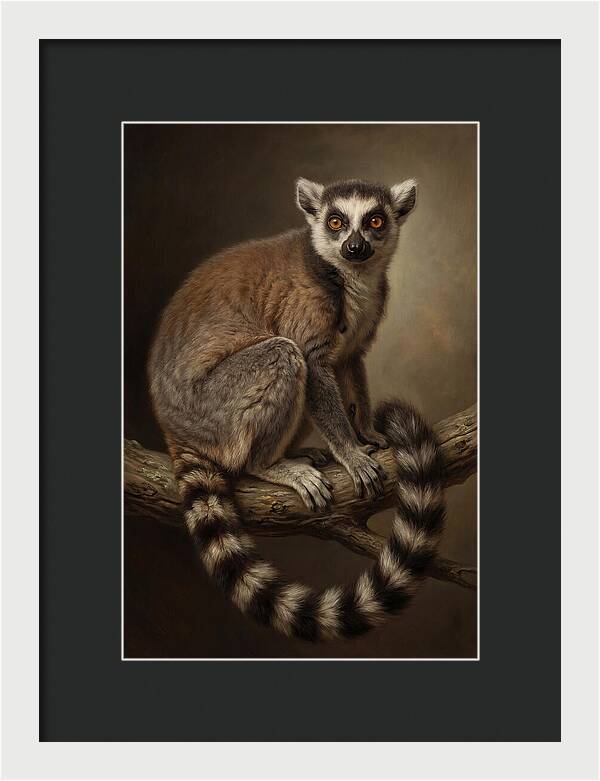 Lemur On A Branch