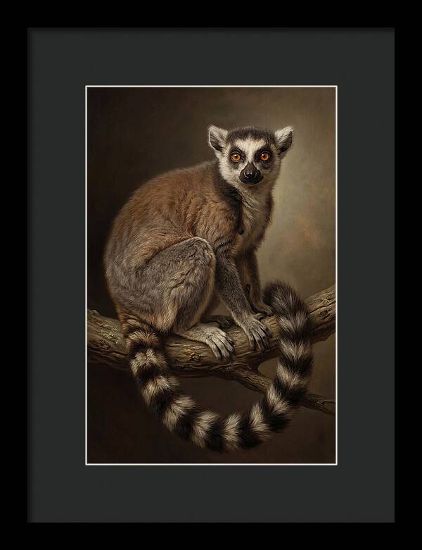 Lemur On A Branch
