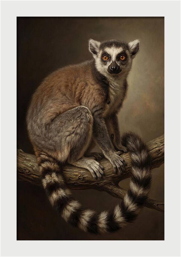 Lemur On A Branch