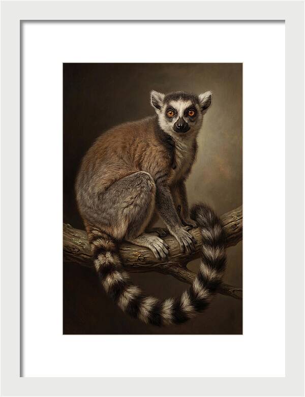 Lemur On A Branch