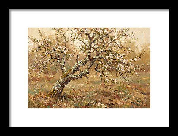 Lichen Covered Apple Tree