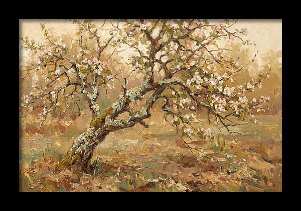 Lichen Covered Apple Tree