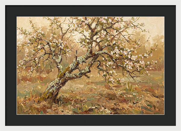 Lichen Covered Apple Tree