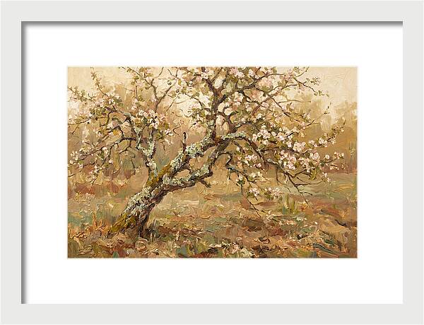 Lichen Covered Apple Tree