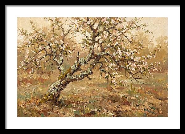 Lichen Covered Apple Tree
