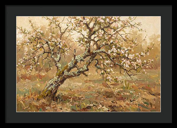 Lichen Covered Apple Tree