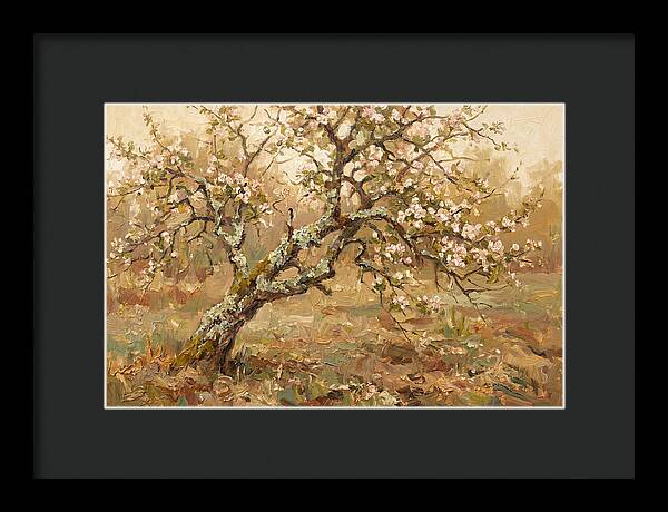 Lichen Covered Apple Tree