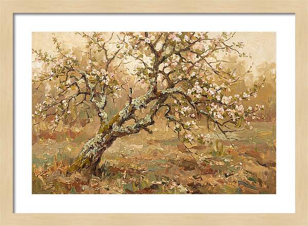 Lichen Covered Apple Tree