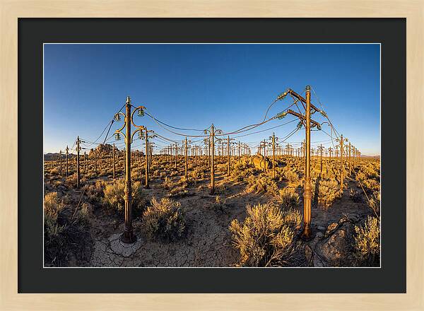 Lightning Field Installation