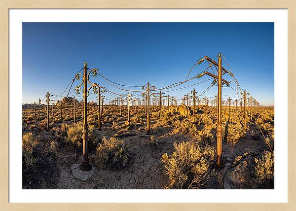 Lightning Field Installation
