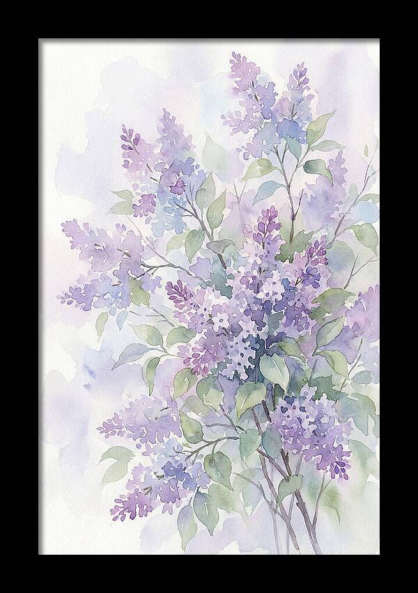 Lilac Bush In Bloom
