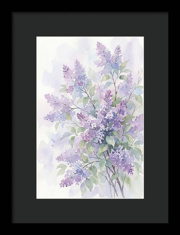 Lilac Bush In Bloom