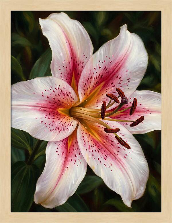 Lily Blossom Elegance