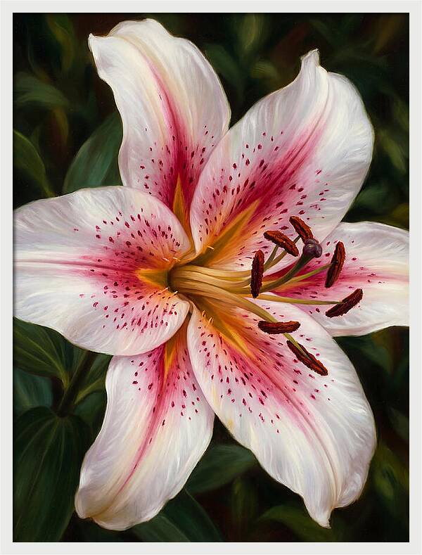 Lily Blossom Elegance