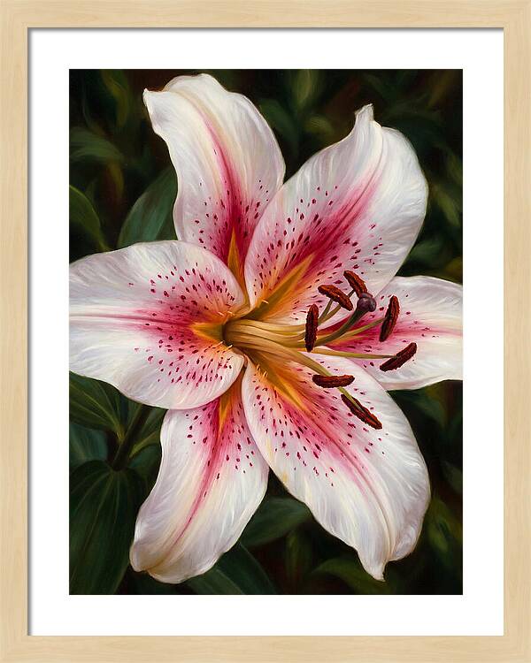 Lily Blossom Elegance