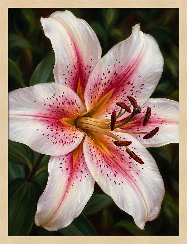 Lily Blossom Elegance