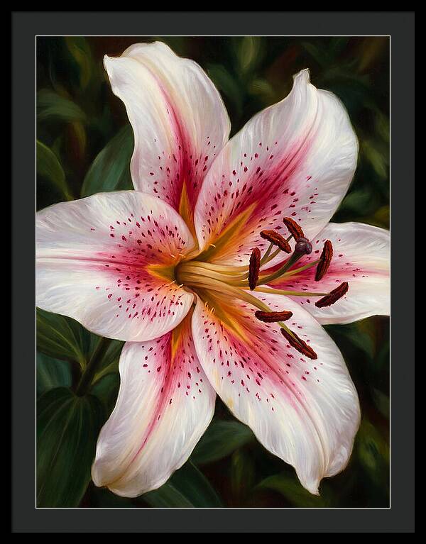 Lily Blossom Elegance