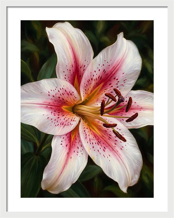 Lily Blossom Elegance