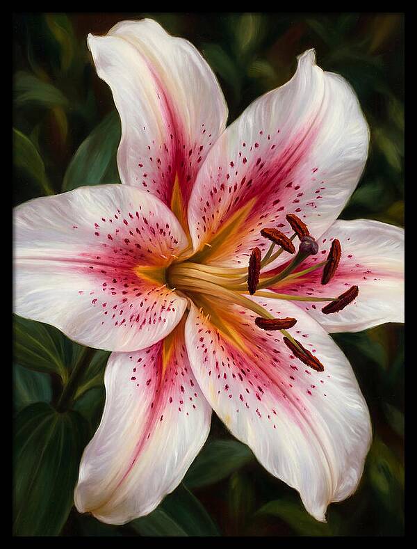 Lily Blossom Elegance