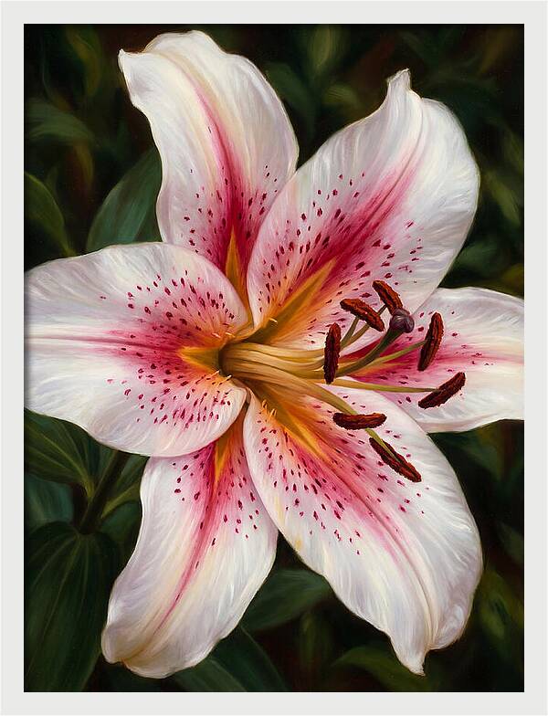 Lily Blossom Elegance