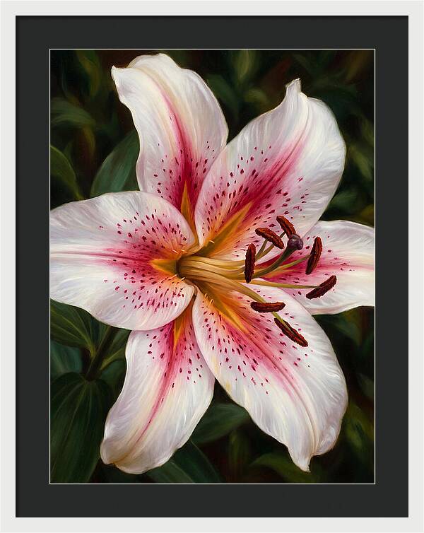 Lily Blossom Elegance