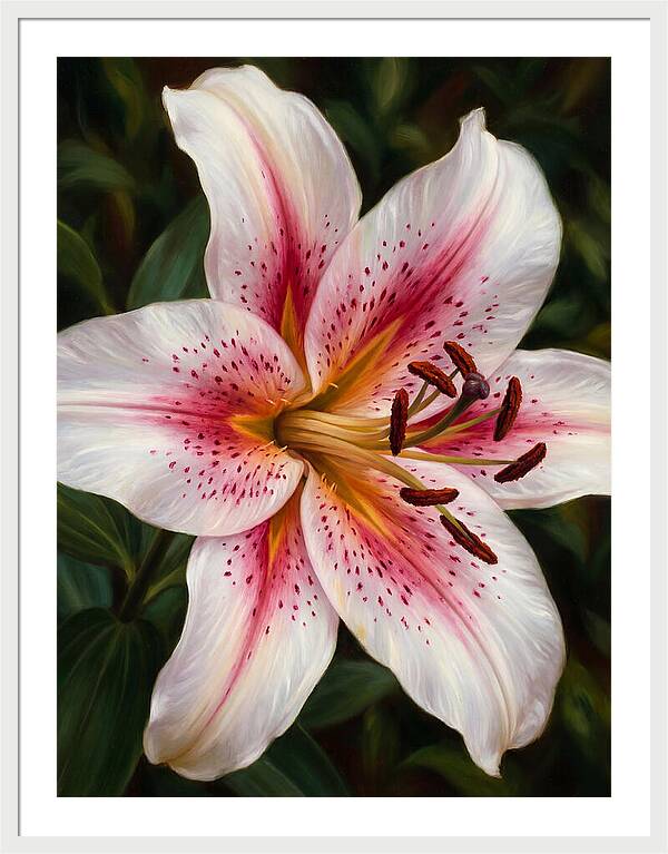 Lily Blossom Elegance
