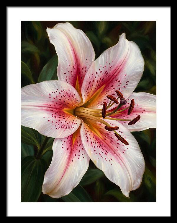 Lily Blossom Elegance