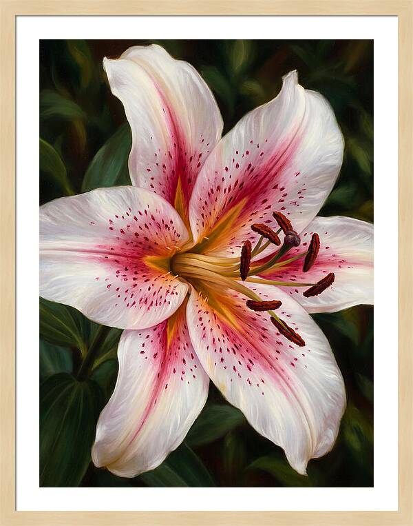 Lily Blossom Elegance