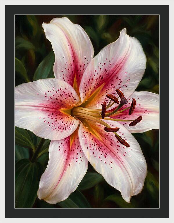 Lily Blossom Elegance
