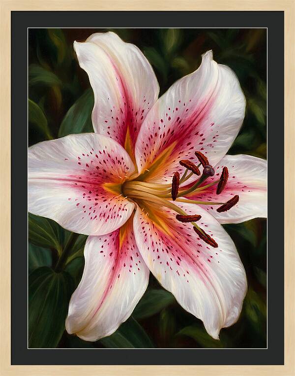 Lily Blossom Elegance