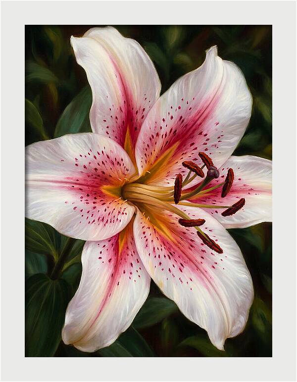 Lily Blossom Elegance