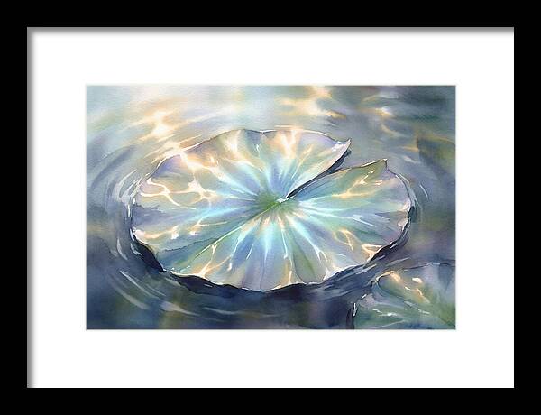 Lily Pad Reflections