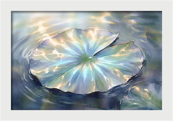Lily Pad Reflections