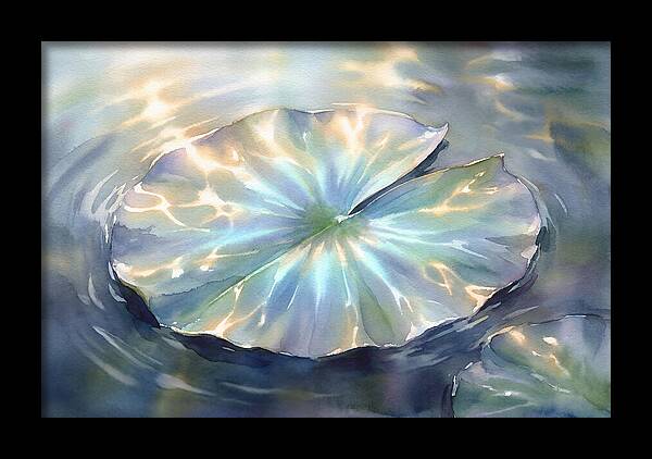 Lily Pad Reflections