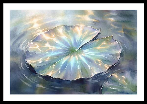 Lily Pad Reflections
