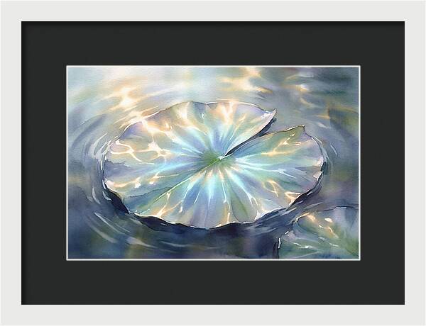 Lily Pad Reflections