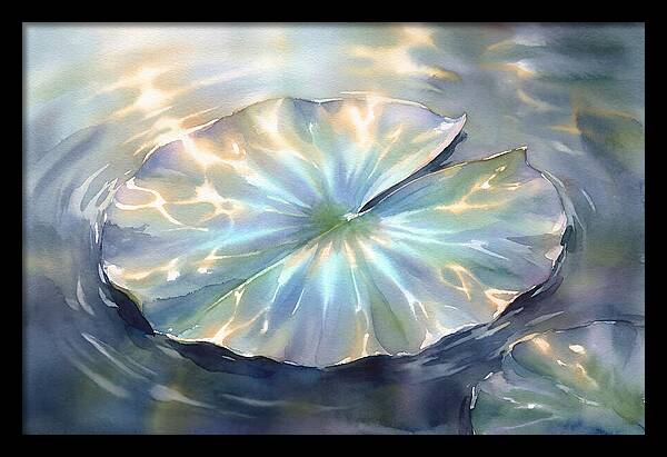 Lily Pad Reflections