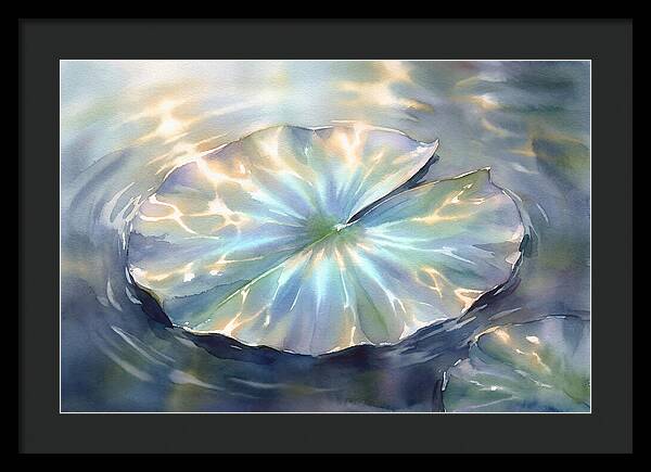 Lily Pad Reflections