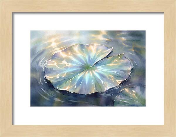 Lily Pad Reflections