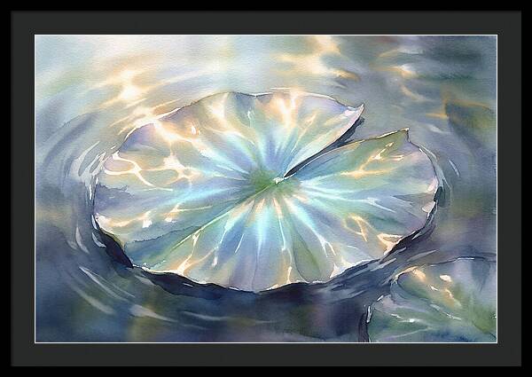 Lily Pad Reflections