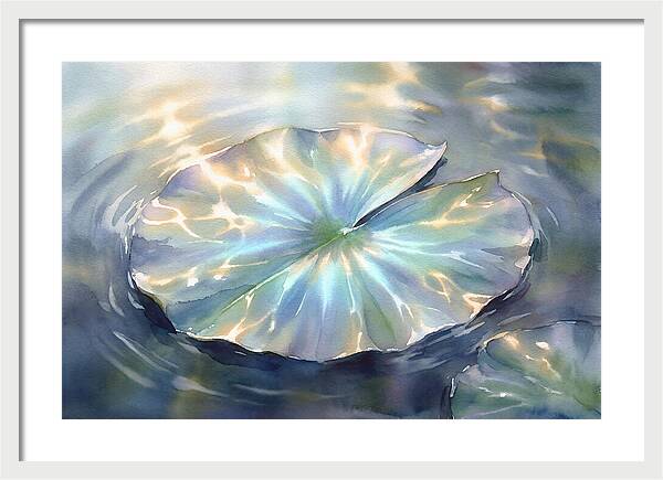 Lily Pad Reflections